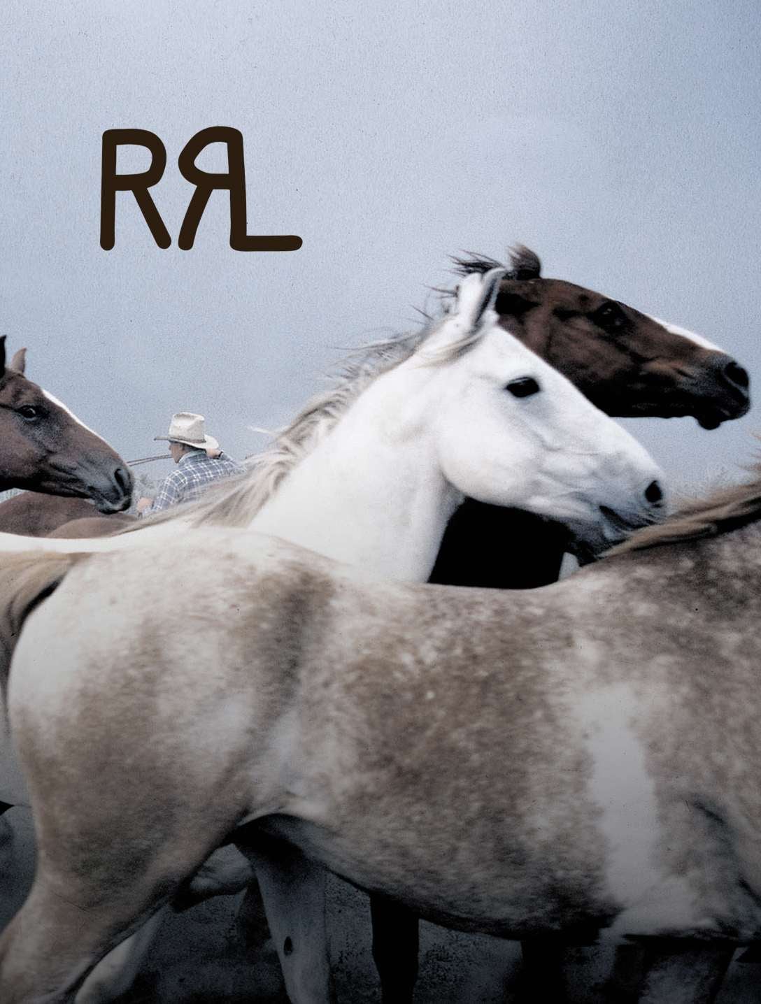 1日限定❗️【Ralph Lauren】 ポロカントンリー、パトロールジャケット 90s- ポロラルフローレン スイングトップ ハリントンジャケット