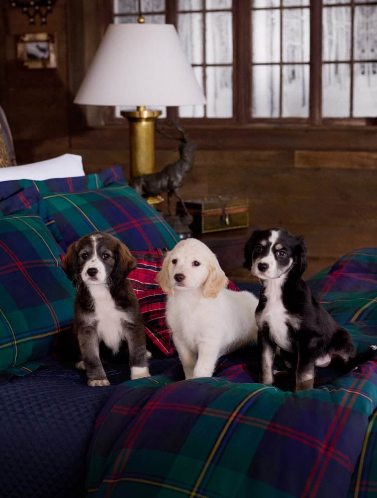 新品未開封✳︎ラルフローレン✳︎フリル付きサテン地✳︎花柄✳︎フラットシーツ 新品未開封✳︎ラルフローレン✳︎フリル付きサテン地✳︎花柄